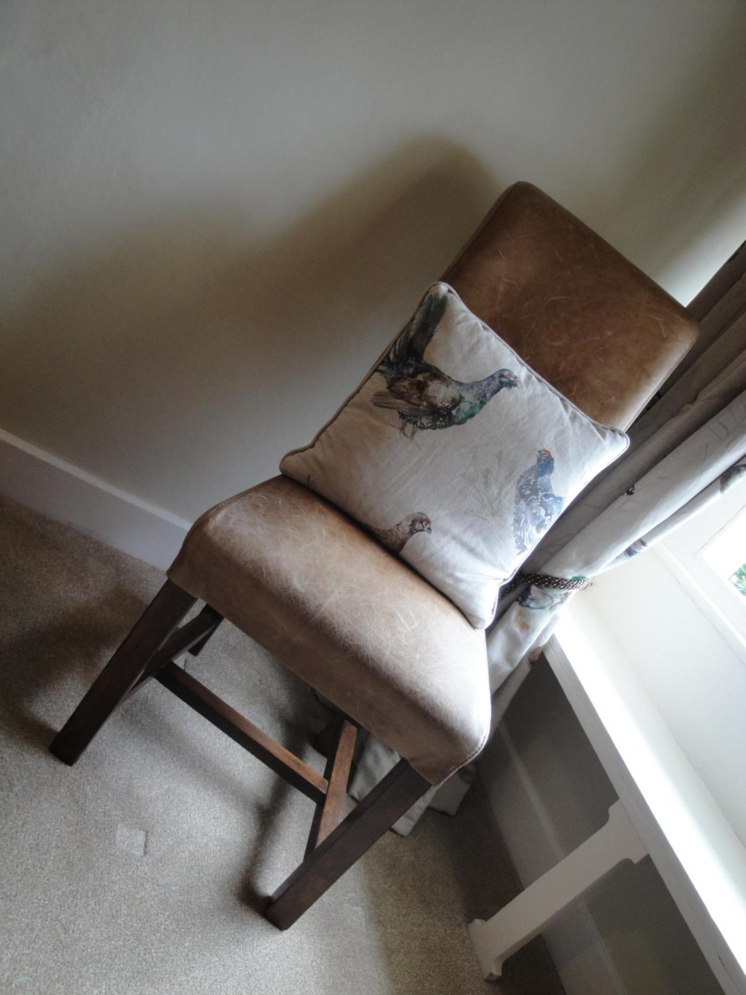 Babcary Cary Fitzpaine House B&B 객실 사진